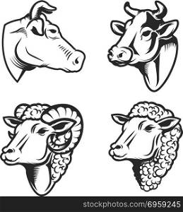 Set of cow and sheep heads on white background. Design element for logo, label, emblem, sign. Vector image. Set of cow and sheep heads on white background. Design element for logo, label, emblem, sign.