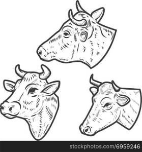 Set of cow heads on white background. Design element for logo, label, emblem, sign. Vector image. Set of cow heads on white background. Design element for logo, label, emblem, sign.