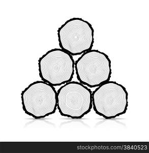 Set of cross section of the trunk, vector illustration