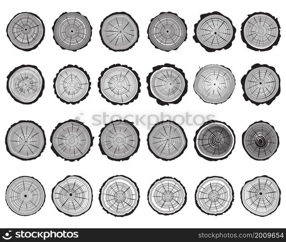 Set of cross section of trunks on white background
