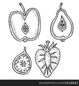 Set of cut fruits and berries. Beautiful half strawberry, fig, half apple and half pear with leaf. Vector illustration in linear hand drawn style for design, decor and decoration
