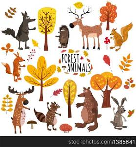 Set of cute forest animals bear, raccoon, squirrel, hare, fox, wolf, hedgehog, moose deer autumn leaves trees. Set of cute forest animals bear, raccoon, squirrel, hare, fox, wolf, hedgehog, moose, deer, autumn leaves trees, trend modern style, vector, illustration, isolated