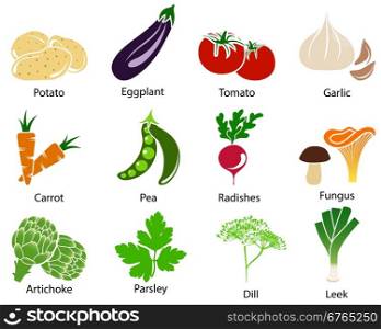 Set of cute vegetable icons with title over white background. Vector illustration.