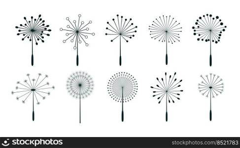 set of dandelion flower seeds design