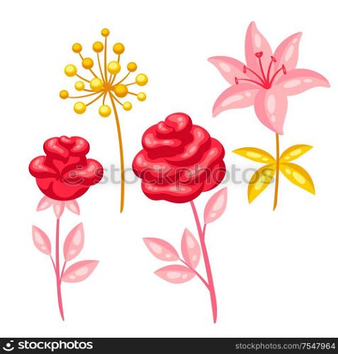 Set of decorative bright flowers. Illustrations in cartoon style.. Set of decorative bright flowers.