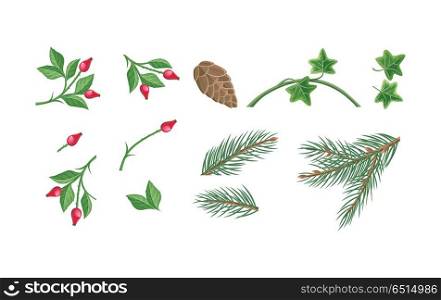 Set of decorative plants parts for seasonal decorations. Flat design. Sweetbrier, pine tree, ivy branches and leaves. Winter holidays symbols. Christmas and New year celebrating. On white background. Set of Christmas Decoration Plants Illustrations . Set of Christmas Decoration Plants Illustrations