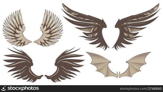 Set of decorative wings. Vector illustration.