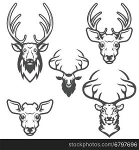 set of deer heads isolated on white background. Design elements for logo, label, emblem, sign, brand mark. Vector illustration.