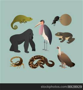 Set of different african animals animals vector image