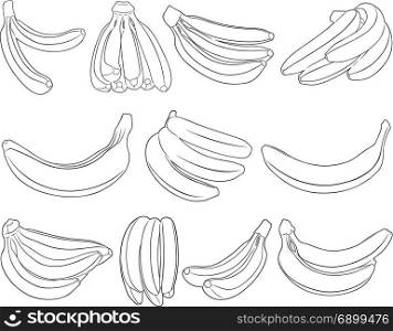 Set of different bananas isolated on white