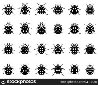 Set of different black ladybugs on a white background