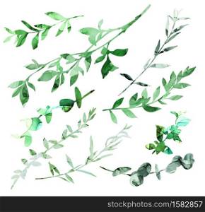 Set of different branches and leaves with wet alcohol ink texture on background, hand drawn vector illustration.