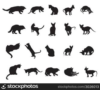 Set of different breeds cats silhouettes (sitting, standing, lying, playing) in black color isolated on white background. Vector monochrome illustration. Part 3