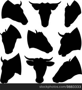 Set of different cow heads isolated on white