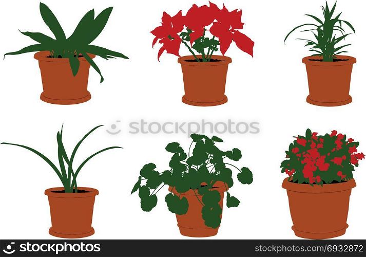 Set of different flowers in pots isolated on white