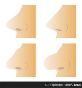 Set of Different Human Nose Isolated on White Background. Set of Different Human Nose