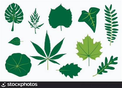 set of different leaves isolated on white