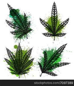 Set of different leaves of marijuana with hatching and watercolor splashes. The object is separate from the background. Vector engraving element for menus, articles, cards and your creativity. Set of different leaves of marijuana with hatching and watercolor splashes. The object is separate from the background.