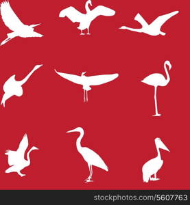 Set of different photographs of birds seamless pattern. Vector illustration. EPS 10