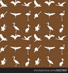 Set of different photographs of birds seamless pattern. Vector illustration. EPS 10