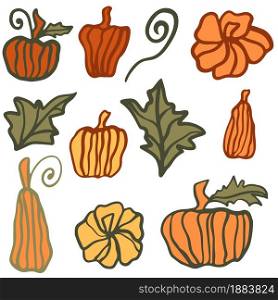 Set of different pumpkins freehand drawing vector illustration. Collecting the harvested pumpkin vegetables. Falling symfol, thanksgiving and halloween.. Set of different pumpkins freehand drawing vector illustration.