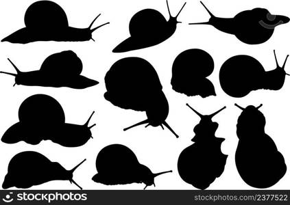 Set of different snail silhouettes isolated on white