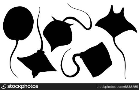 Set of different stingray silhouettes isolated on white