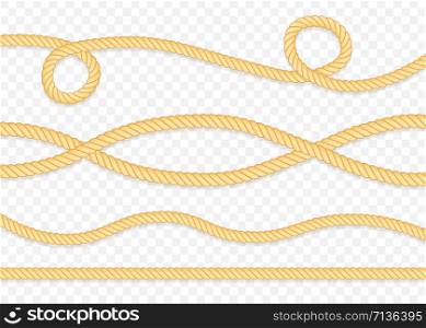 Set of different thickness ropes isolated on white. Vector stock illustration.. Set of different thickness ropes isolated on white. Vector illustration.