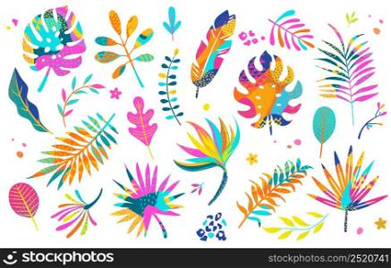 Set of different tropical and other isolated bright leaves with geometric shapes in them. Palm, banana leaf, hibiscus, plumeria, split leaf, philodendron. Jungle collection for your design.Vector. Set of different tropical isolated bright leaves.