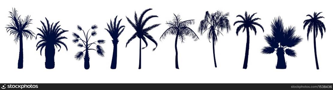 Set of different tropical palm trees. Trees in a simple style in different shapes with different leaves.. Set of different tropical palm trees.