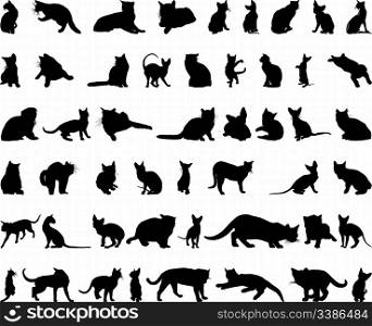 Set of different vector cats silhouettes for design use