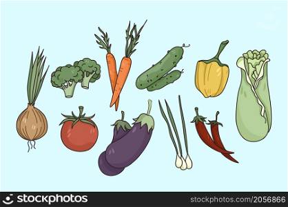 Set of diverse fresh vegetables isolated on light background. Collection of natural organic bio veggies for open market or supermarket ad. Nutrition and diet, clean eating. Vector illustration. . Vector set of diverse fresh vegetables