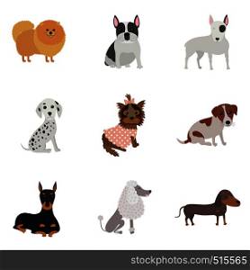 Set of dogs of different breeds