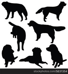 Set of dogs silhouette isolated. Vector illustration. EPS 10.