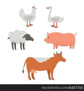 Set of domestic animals illustrations. Vector in flat style design. Country inhabitants concept. Picture for farming, animal husbandry, milk, meat and wool production companies. Isolated on white. . Set of Domestic Animals Flat Design Vector.