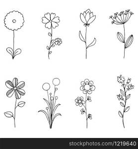 Set of doodle flora, Wild and Nature flowers on white background illustration.