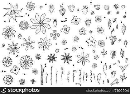 Set of doodle flowers and leaves composition. Hand drawn style elements. Vector ilustration.