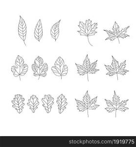 Set of doodle leaves. Vector illustration of design elements for greeting cards, posters, wallpaper, surface, web design, textile, decor, print.