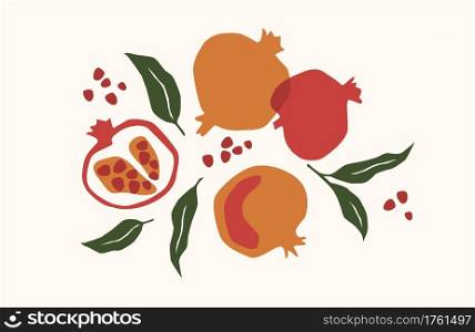 Set of drawn pomegranate, Vector illustration. Isolated elements for design. Set of drawn pomegranate, Vector illustration. Isolated elements