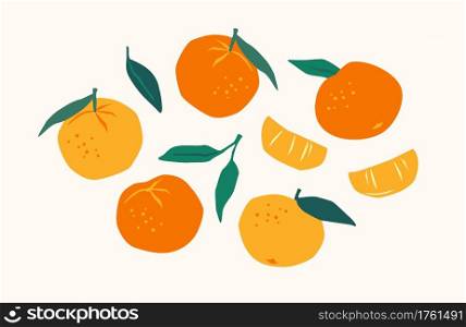 Set of drawn tangerines. Citrus fruits, oranges, mantarines. Vector illustration. Isolated elements for design. Set of drawn tangerines. Citrus fruits, oranges, mantarines. Vector illustration. Isolated elements.