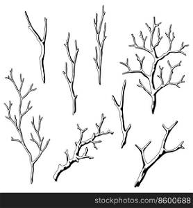 Set of dry bare branches. Decorative natural twigs. Autumn or winter illustration.. Set of dry bare branches. Decorative natural twigs.