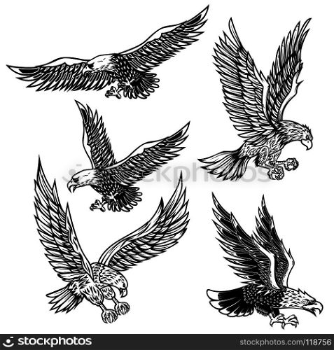 Set of eagles illustrations. Design element for logo, label, emblem, sign, poster, t shirt. Vector image