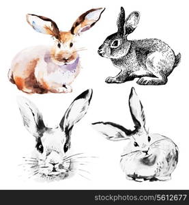Set of Easter rabbits. Hand drawn sketch and watercolor illustrations