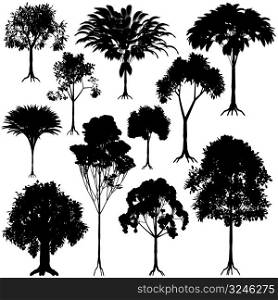 Set of editable vector generic tree silhouettes