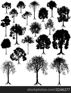 Set of editable vector tree silhouettes from summer and winter
