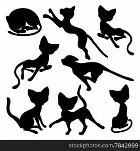 Set of eight black silhouettes of funny cats isolated on a white background, hand drawing cartoon vector illustration