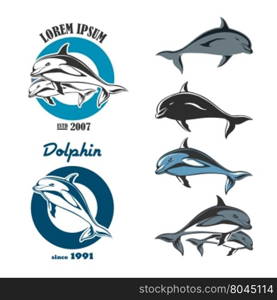 Set of emblem of a dolphin. Isolated labels and objects on a white background