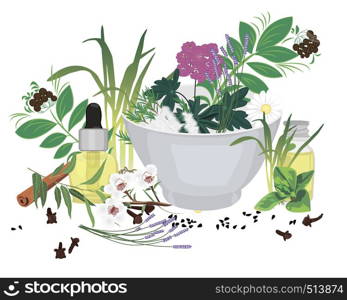 Set of essential oils vector illustration Aromatherapy