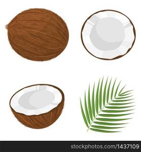 Set of exotic whole, half, cut slice coconut fruits and leaves isolated on white background. Summer fruits for healthy lifestyle. Organic fruit. Cartoon style. Vector illustration for any design. Set of exotic whole, half, cut slice coconut fruits and leaves isolated on white background. Summer fruits for healthy lifestyle. Organic fruit. Cartoon style. Vector illustration for any design.