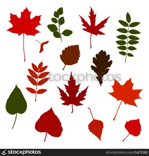 Set of fall leaves isolated on white background. Maple, oak, birch, rowan etc. Vector autumn illustration